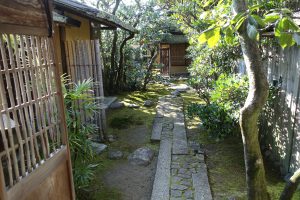 dsc00552