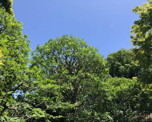 00E71CC9-F363-43A5-938C-74765C76CAEE