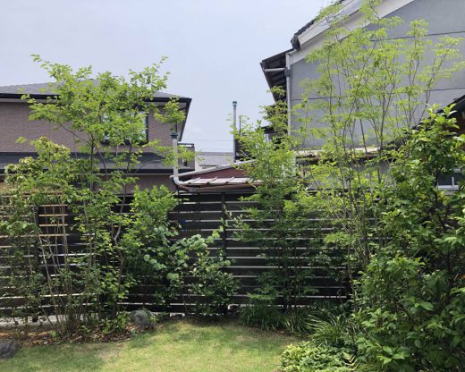 85226A86-AA60-4FCF-8FFA-0BEDAEF2105D