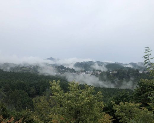 F4BB3BB6-6607-4993-AE78-E1CA9C8CB9ED